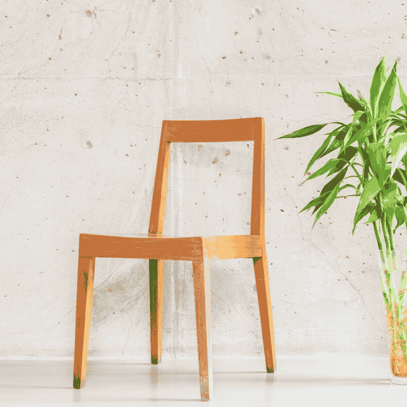 Elegant Dining Chair Set (Set of 2)